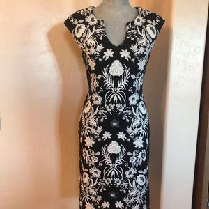 Beautiful Form Fitting Dress